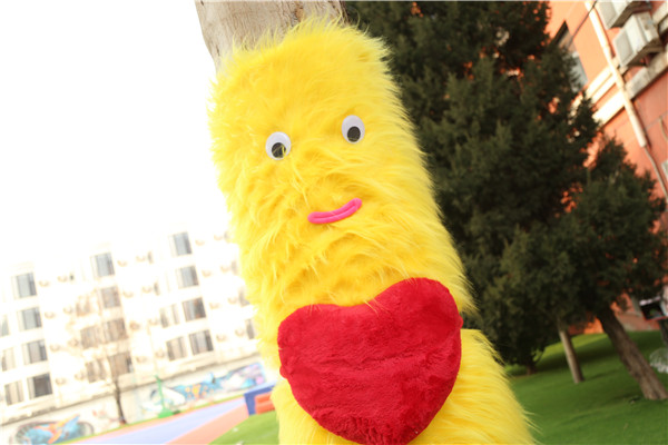 ʯ��ׯ�»�����ѧУ