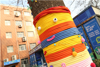 ʯ��ׯ�»�����ѧУ