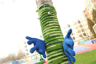 ʯ��ׯ�»�����ѧУ