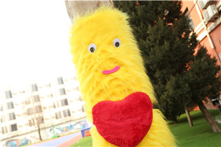 ʯ��ׯ�»�����ѧУ