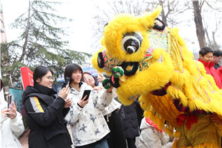 ʯ��ׯ�»�����ѧУ