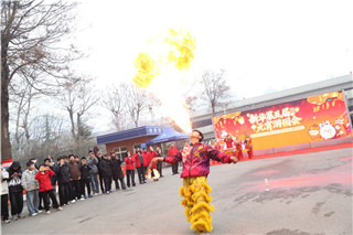 ʯ��ׯ�»�����ѧУ