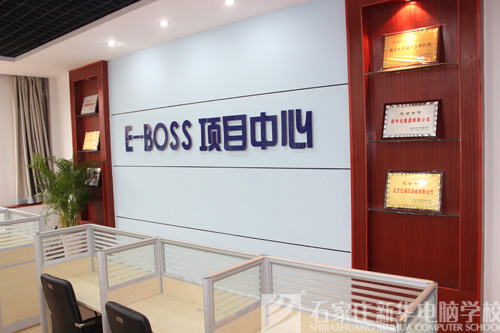 E-BOSSʵѵʵ
