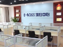 E-BOSSʵѵʵ