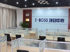 E-BOSSʵѵʵ