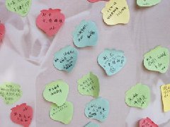 24ףǽ