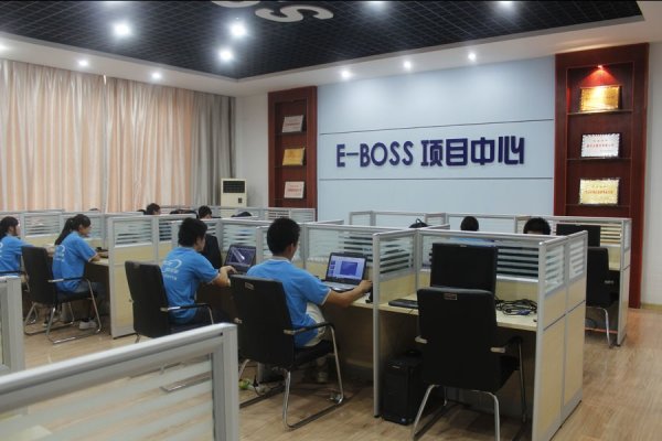 E-BOSSʵѵ